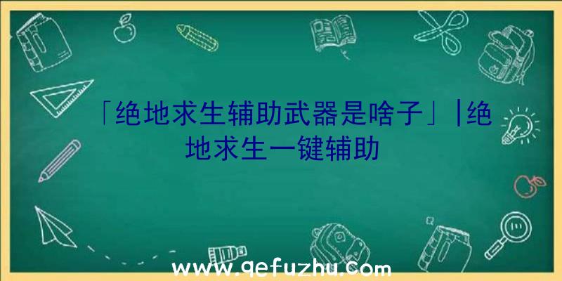 「绝地求生辅助武器是啥子」|绝地求生一键辅助